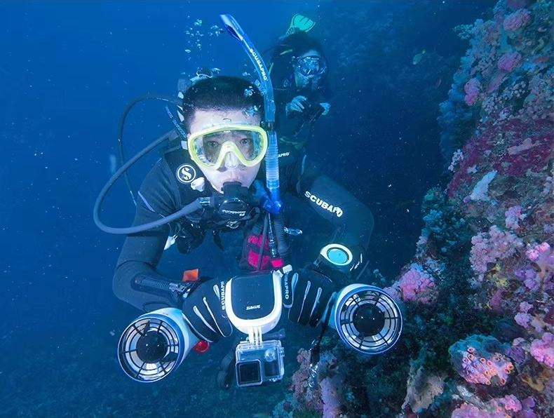 Professional Electric Underwat - Snorkel Dry Top 评论和价格